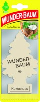 Wunderbaum Kokosnuss